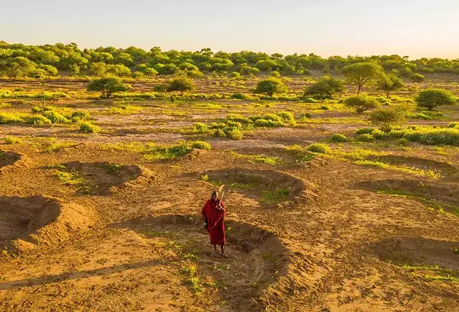 A Maasai person stands in a dry landscape with crescent-shaped planting pits as part of the Trasegro and Justdiggit regreening partnership.