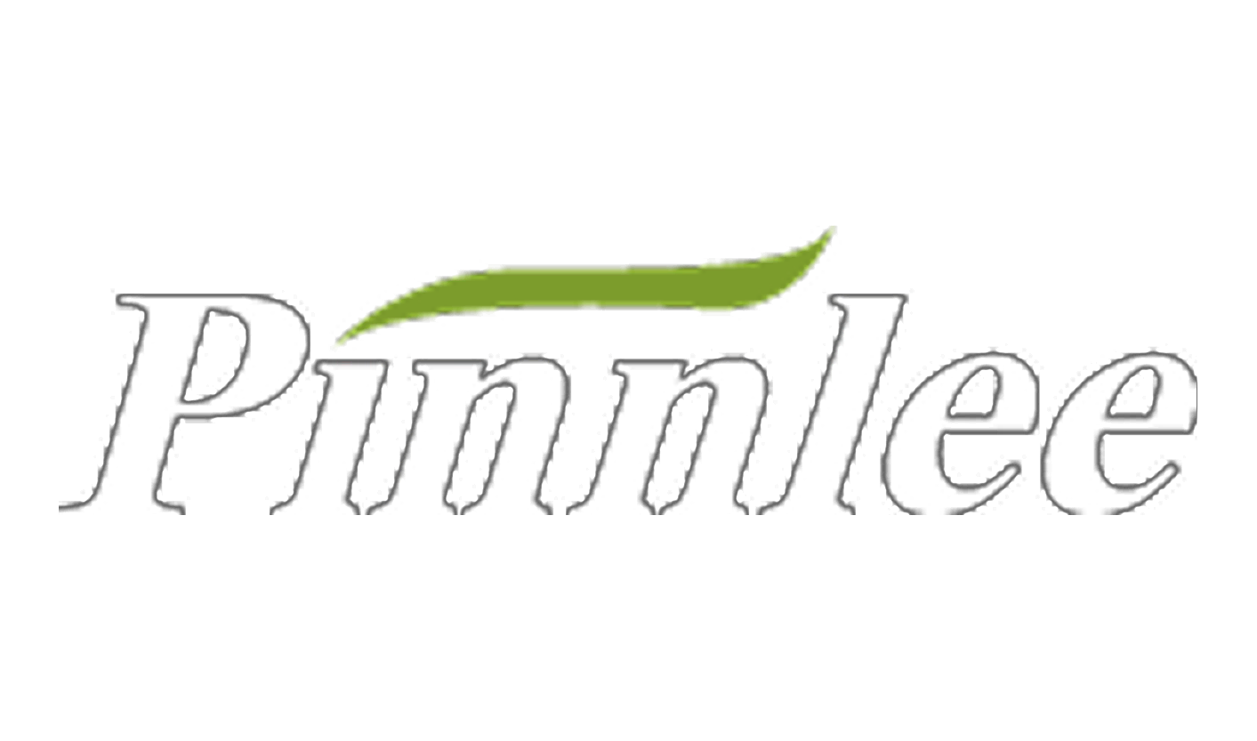 Pinnlee logo with a green leaf design over the text.
