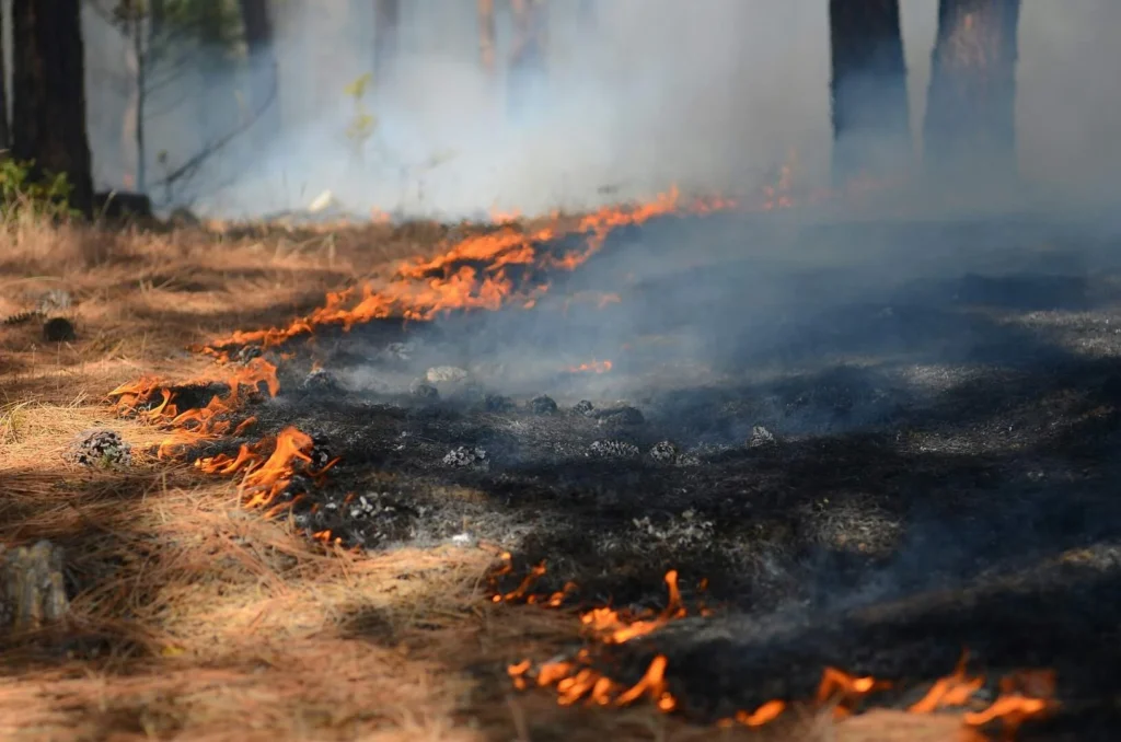 Wildfires in France and Spain keep disrupting cross-border road freight